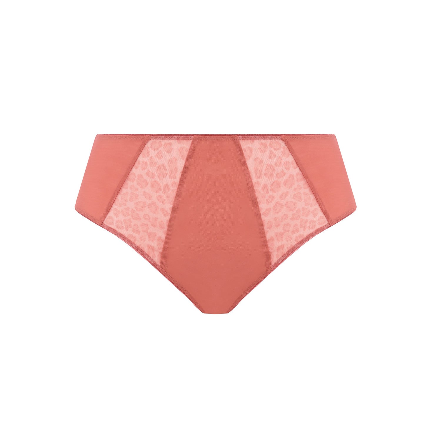 Matilda Full Brief